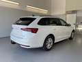 Skoda Octavia Combi Selection 150PS TDI DSG AHK+Kamera+GV4+AC... Weiß - thumbnail 4