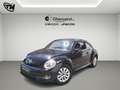 Volkswagen Maggiolino 1.6 tdi Design 105cv *NEOPATENTATI* Schwarz - thumbnail 1