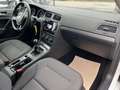 Volkswagen Golf Comfortline 1,0 TSI**R-LINE**GARANTIE**FINANZIE... Weiß - thumbnail 17
