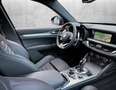 Alfa Romeo Stelvio 2.0 Turbo 280 CV AT8 Q4 Competizione Nero - thumbnail 6
