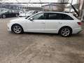 Audi A4 Avant 35 TDI S-tronic Weiß - thumbnail 4