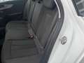 Audi A4 Avant 35 TDI S-tronic Weiß - thumbnail 12