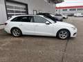 Audi A4 Avant 35 TDI S-tronic Weiß - thumbnail 8