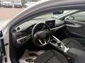 Audi A4 Avant 35 TDI S-tronic Weiß - thumbnail 10