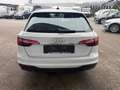 Audi A4 Avant 35 TDI S-tronic Weiß - thumbnail 6