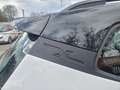 SEAT Arona 1,0 Eco TSI Style Weiß - thumbnail 7