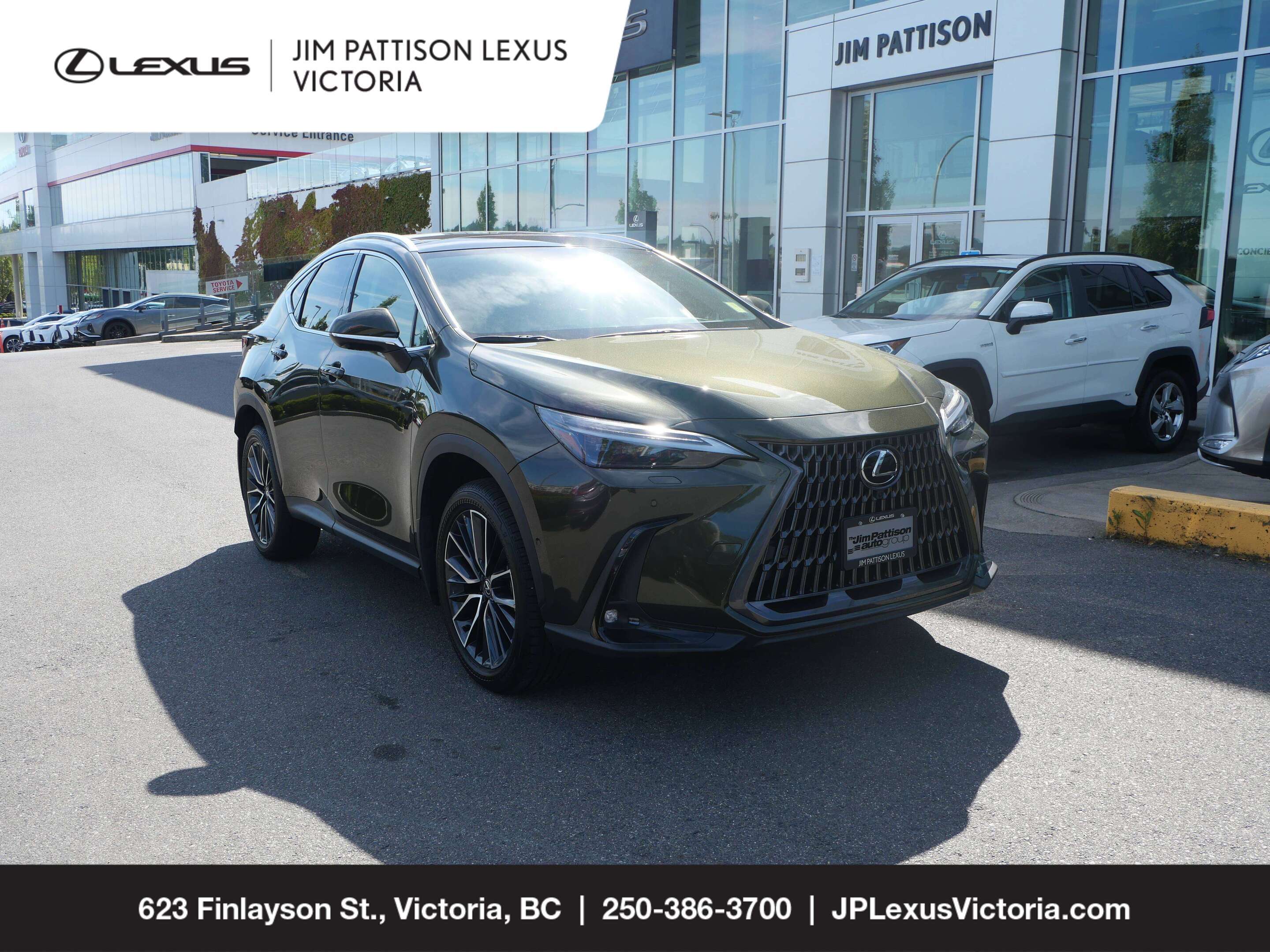 2025 Lexus NX à vendre à Victoria