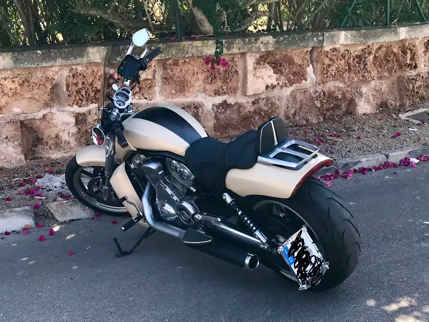 Harley-Davidson VRSC V-Rod Muscle Beige - 1