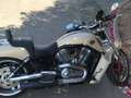 Harley-Davidson VRSC V-Rod Muscle Beige - thumbnail 6
