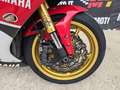 Yamaha YZF-R1 TCS Anniversary Export Video 360 Alb - thumbnail 3