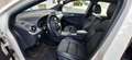Mercedes-Benz B 220 B 220 d 4MATIC Aut. Weiß - thumbnail 6