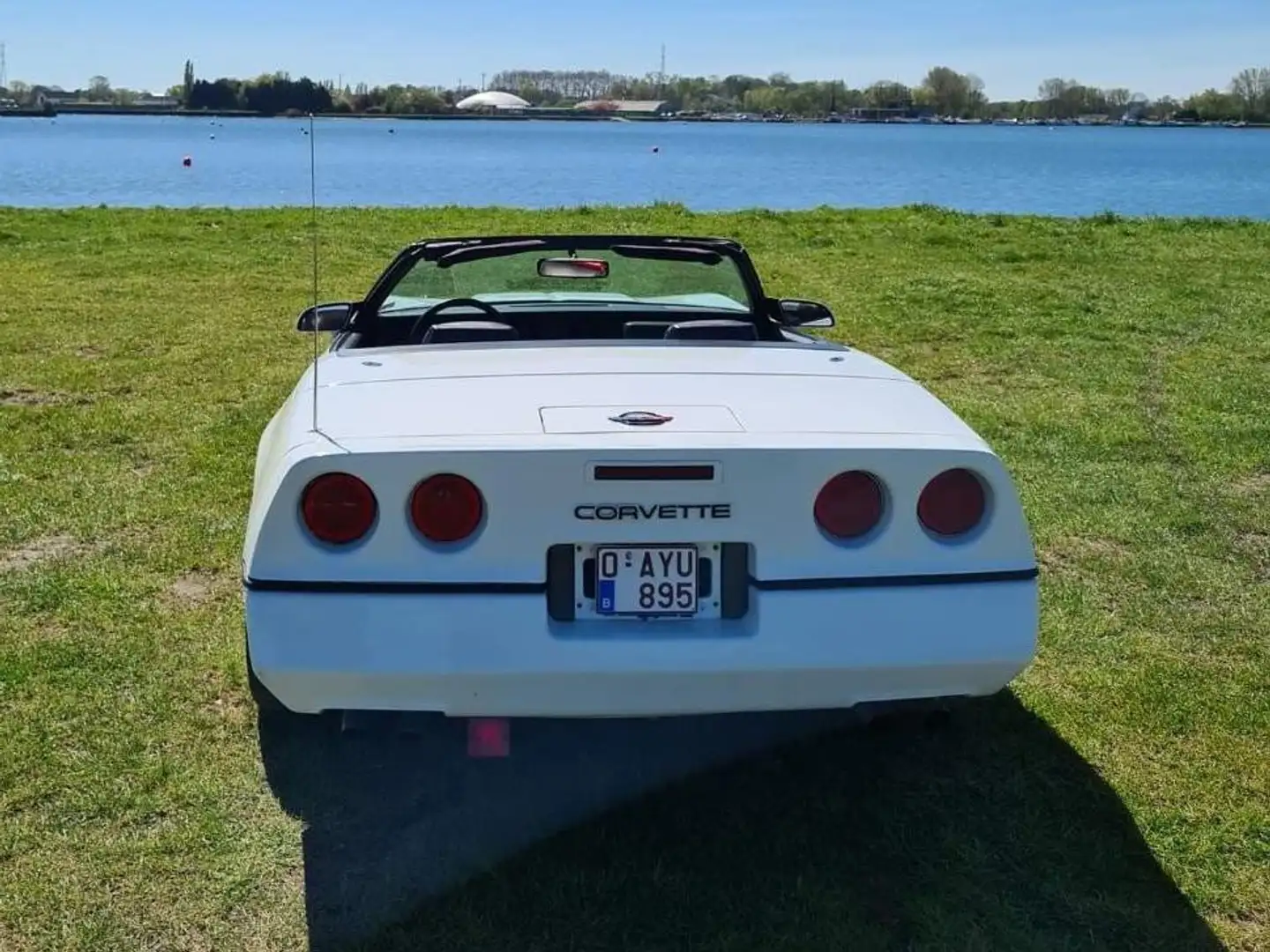 Chevrolet Corvette 5.7L Blanc - 2