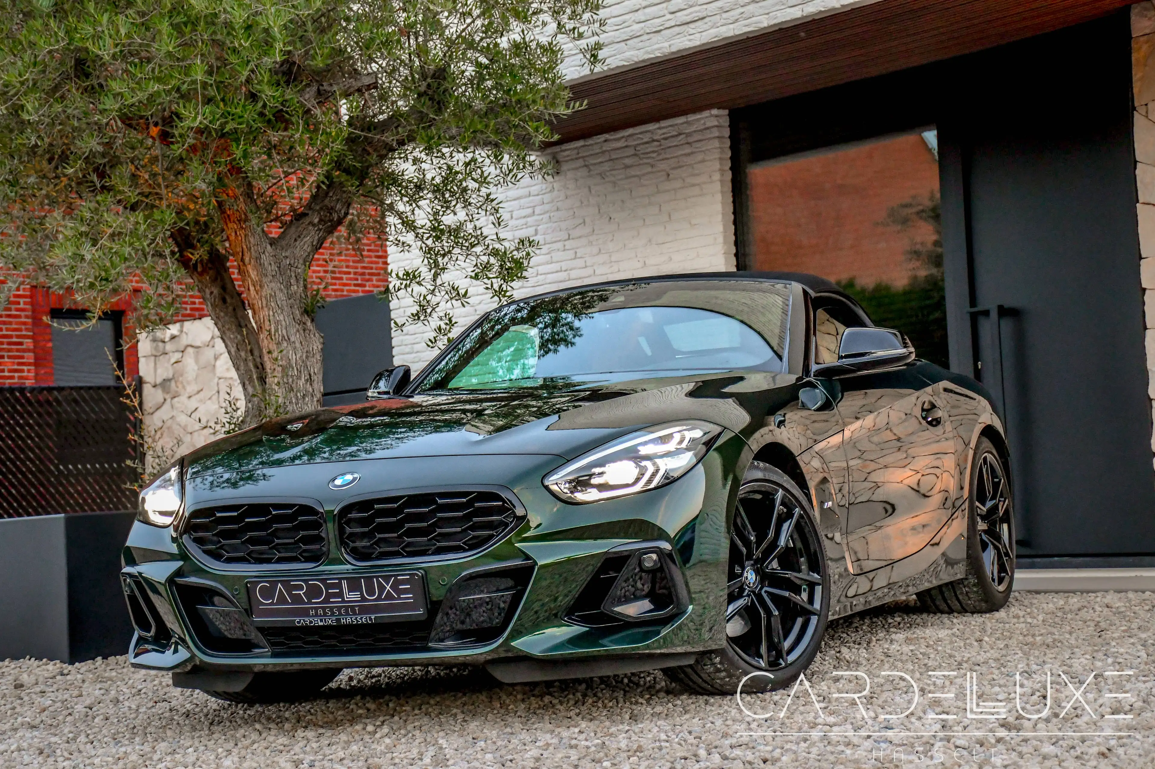 BMW Z4 2.0i 🚩 SANREMO GREEN !!🚩 M PACK !!! HEAD UP / HARMAN / CAMERA — photo 12