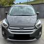 Ford Kuga Cool Grau - thumbnail 2
