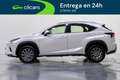 Lexus NX 300h Business Navigation 2WD Blanco - thumbnail 8
