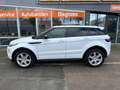 Land Rover Range Rover Evoque 2.2 TD4 I Automaat I Pano I 4WD Wit - thumbnail 6