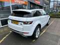 Land Rover Range Rover Evoque 2.2 TD4 I Automaat I Pano I 4WD Wit - thumbnail 11