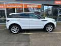 Land Rover Range Rover Evoque 2.2 TD4 I Automaat I Pano I 4WD Wit - thumbnail 5