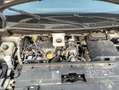 Renault Kangoo Kangoo  1.5 dci Limited 95cv "ALLUVIONATO" Grau - thumbnail 12