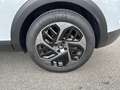 Citroen C4 100 kW 136CV Electric Plus Bianco - thumbnail 8