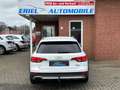 Audi A4 allroad quattro basis 18LM/AHK/SHZ/2.HAND Білий - thumbnail 7