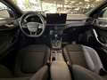 Ford Focus Turnier ST-Line X AHK GJR TW ACC Keyless Blau - thumbnail 15