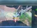 BMW 330 e TOURING G21 "AD."/SPORTSITZ/AHK/ACC/HUD/CAM Weiß - thumbnail 10