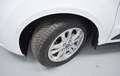 Ford Tourneo Connect 1.5TDCi Auto-S&S Trend 120 Blanco - thumbnail 41