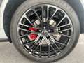 Audi Q8 55 TFSI e quattro Blanc - thumbnail 36