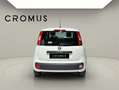 Fiat Panda Panda III 2016 1.2 Lounge s - thumbnail 4