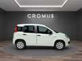 Fiat Panda 1.2 Lounge s - thumbnail 1