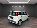 Fiat Panda 1.2 Lounge s - thumbnail 5