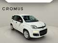 Fiat Panda Panda III 2016 1.2 Lounge s - thumbnail 2