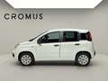 Fiat Panda Panda III 2016 1.2 Lounge s - thumbnail 5