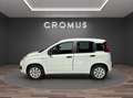 Fiat Panda 1.2 Lounge s - thumbnail 6