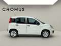 Fiat Panda Panda III 2016 1.2 Lounge s - thumbnail 1