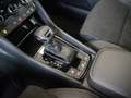 Skoda Karoq 2.0 TDI Drive SHZ KAMERA NAVI AHK ACC Schwarz - thumbnail 14