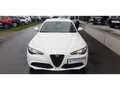 Alfa Romeo Giulia Camera*Cruise control Blanc - thumbnail 4
