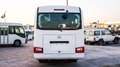 Toyota Coaster 2022 Diesel 4.2L Manual T 23 PL * EXPORT ONLY Blanc - thumbnail 6