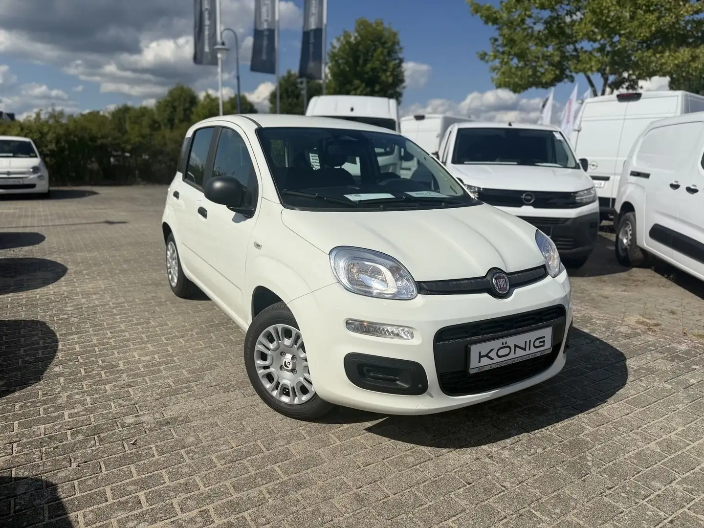 Fiat Panda MY25 1.0 70PS Eurostar Klima PDC Blanc - 1