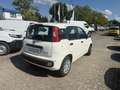 Fiat Panda MY25 1.0 70PS Eurostar Klima PDC Weiß - thumbnail 4