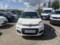 Fiat Panda MY25 1.0 70PS Eurostar Klima PDC Weiß - thumbnail 2