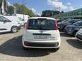 Fiat Panda MY25 1.0 70PS Eurostar Klima PDC Weiß - thumbnail 5