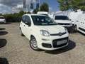Fiat Panda MY25 1.0 70PS Eurostar Klima PDC Weiß - thumbnail 1