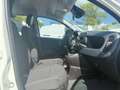 Fiat Panda MY25 1.0 70PS Eurostar Klima PDC Weiß - thumbnail 13