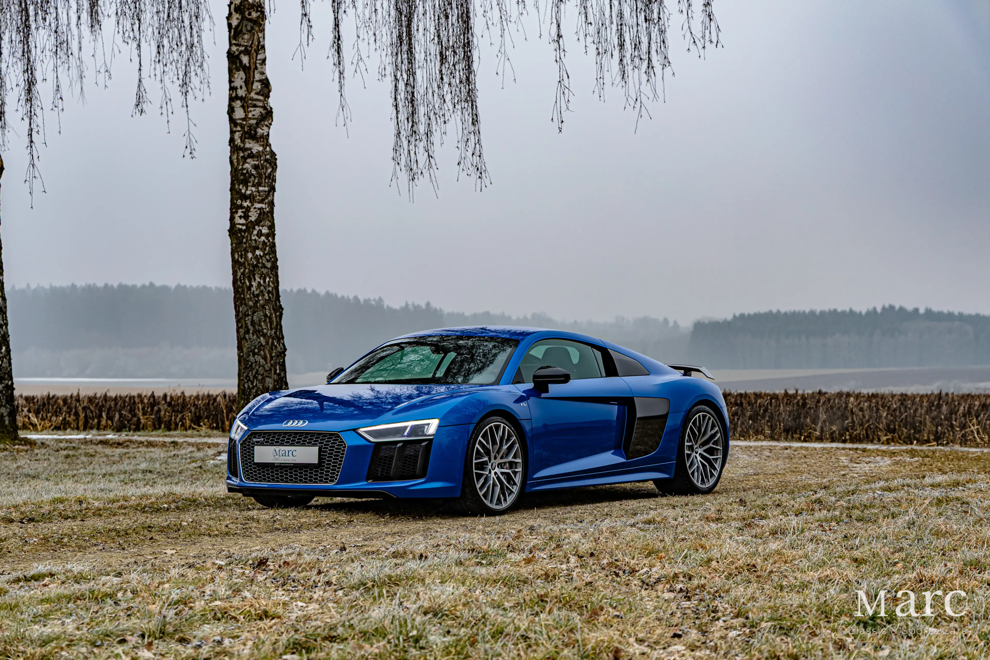 Audi R8 V10 Plus / B&O / Laserlicht / Carbon / VAT — photo 2