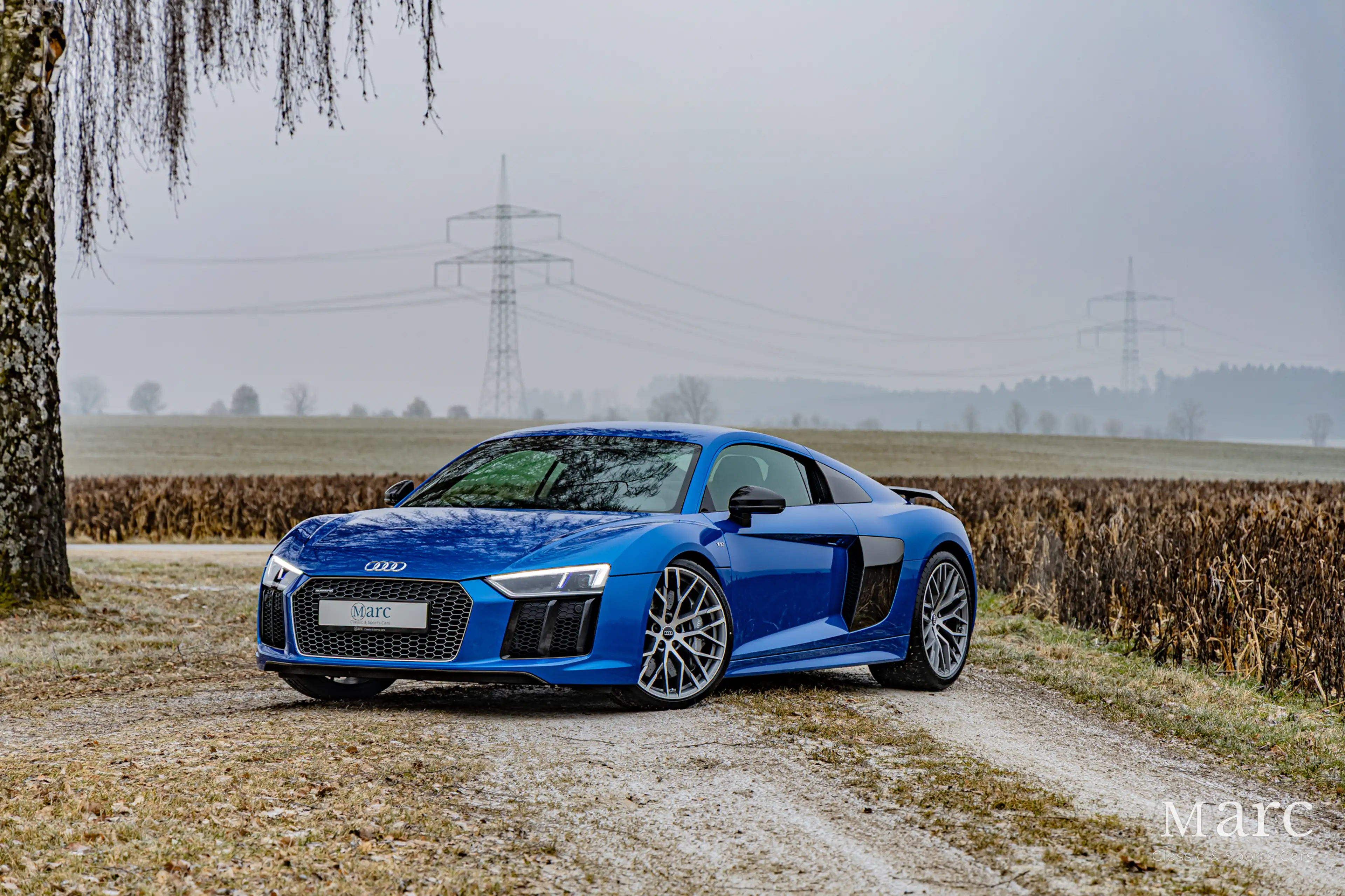 Audi R8 V10 Plus / B&O / Laserlicht / Carbon / VAT