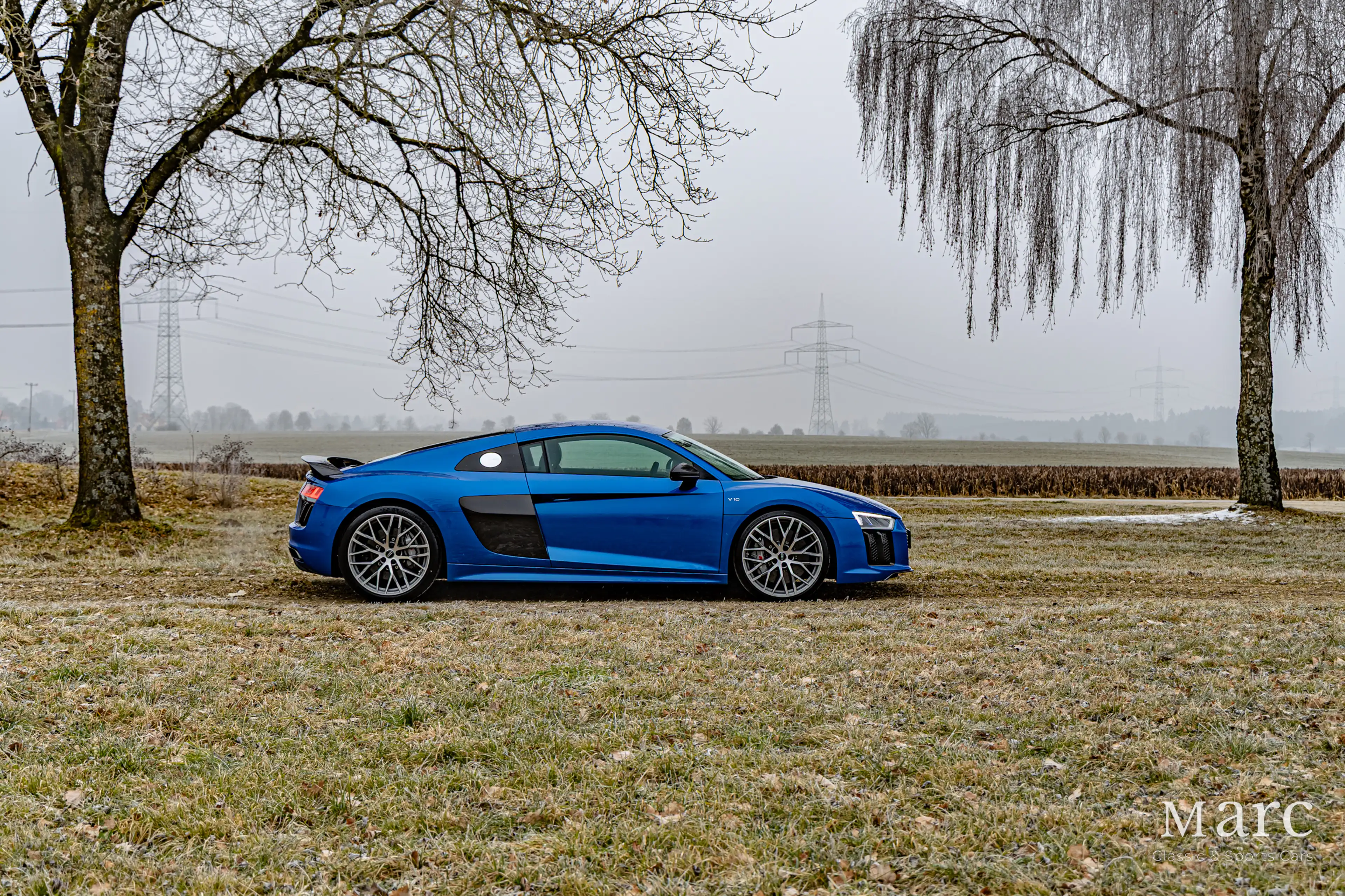 Audi R8 V10 Plus / B&O / Laserlicht / Carbon / VAT — photo 8