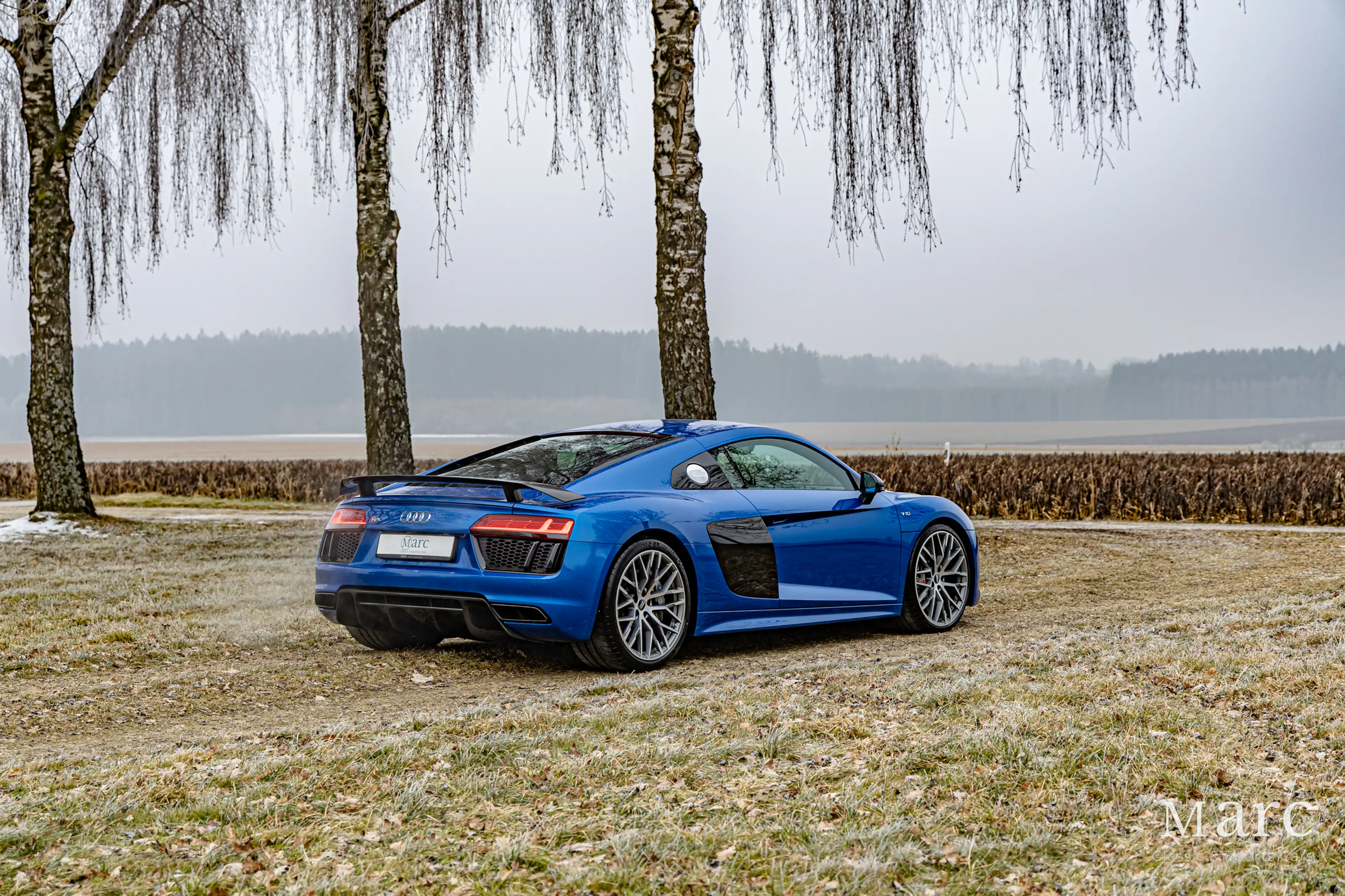 Audi R8 V10 Plus / B&O / Laserlicht / Carbon / VAT — photo 3