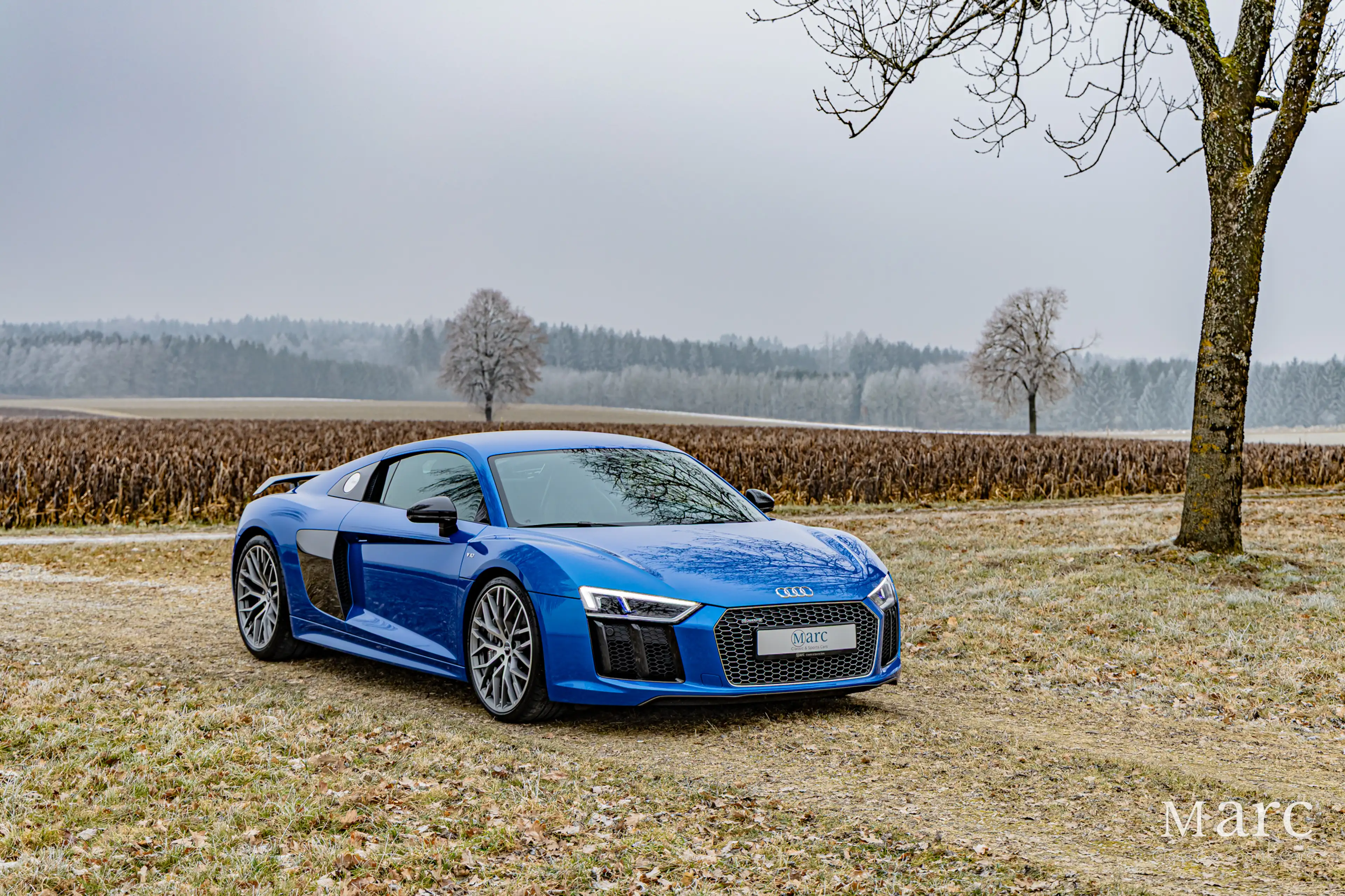 Audi R8 V10 Plus / B&O / Laserlicht / Carbon / VAT — photo 4